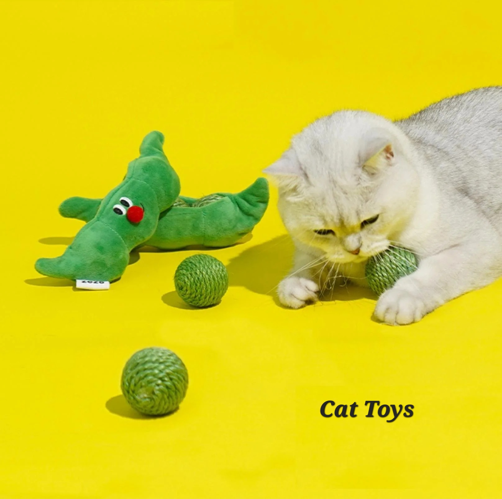 1_516606b2-0594-4ba8-8e68-6f1cb887768f