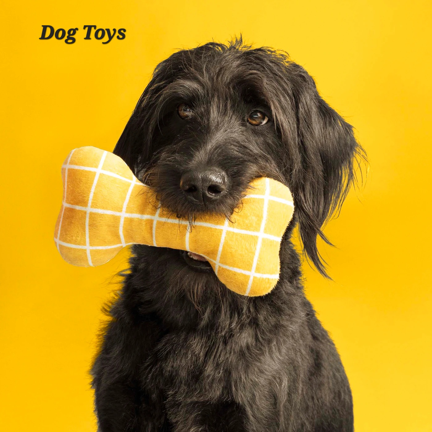 pet_softtoy_bone2_9fe3c334b5