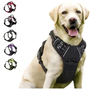 Dog Harness. Sizes to Fit Small to Large Dogs