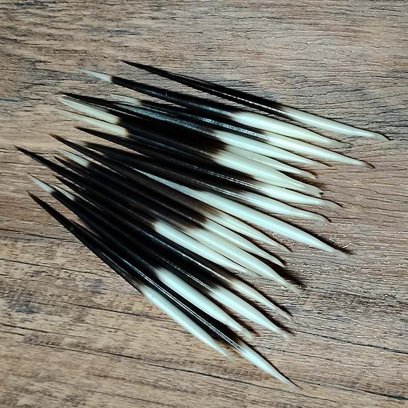 1 LOT African Porcupine Quills- Crafts Accessories- Natural Bone - Image 8