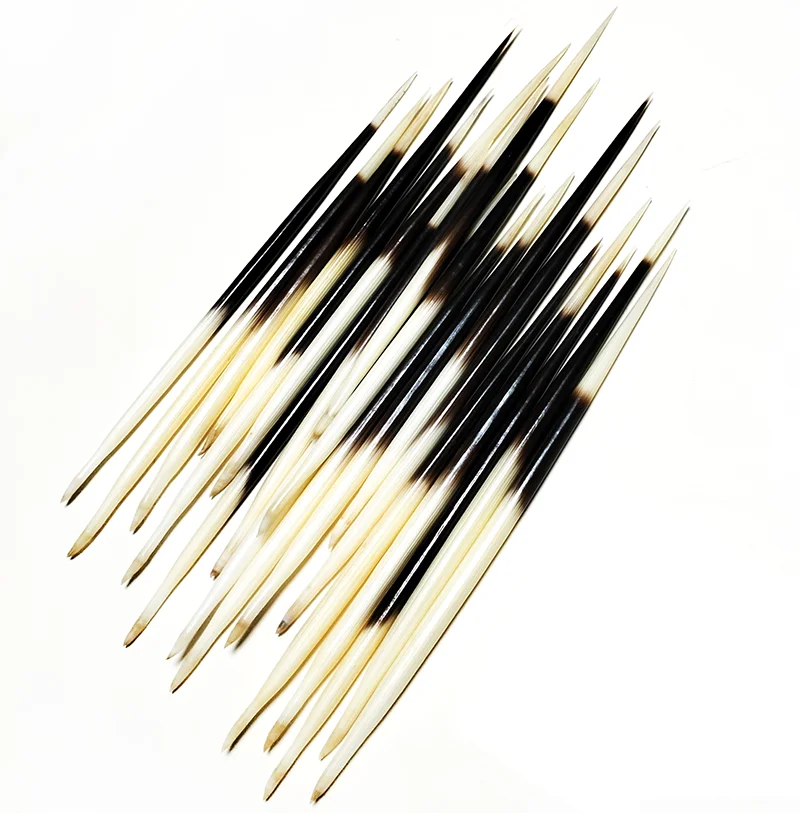 1 LOT African Porcupine Quills- Crafts Accessories- Natural Bone - Image 6