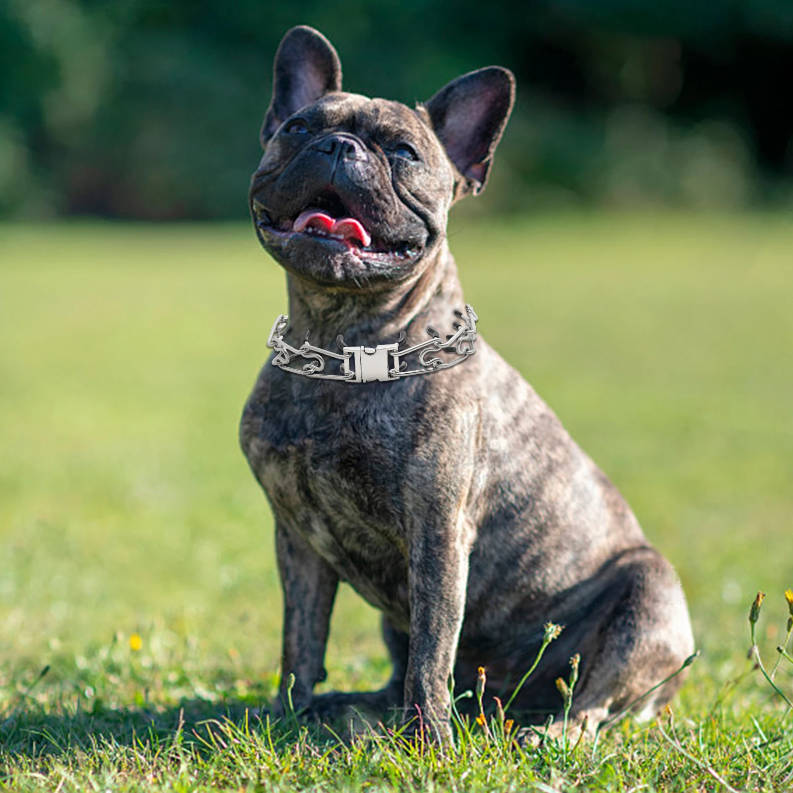 Adjustable No-Pull Training Collar for Dogs - Image 7