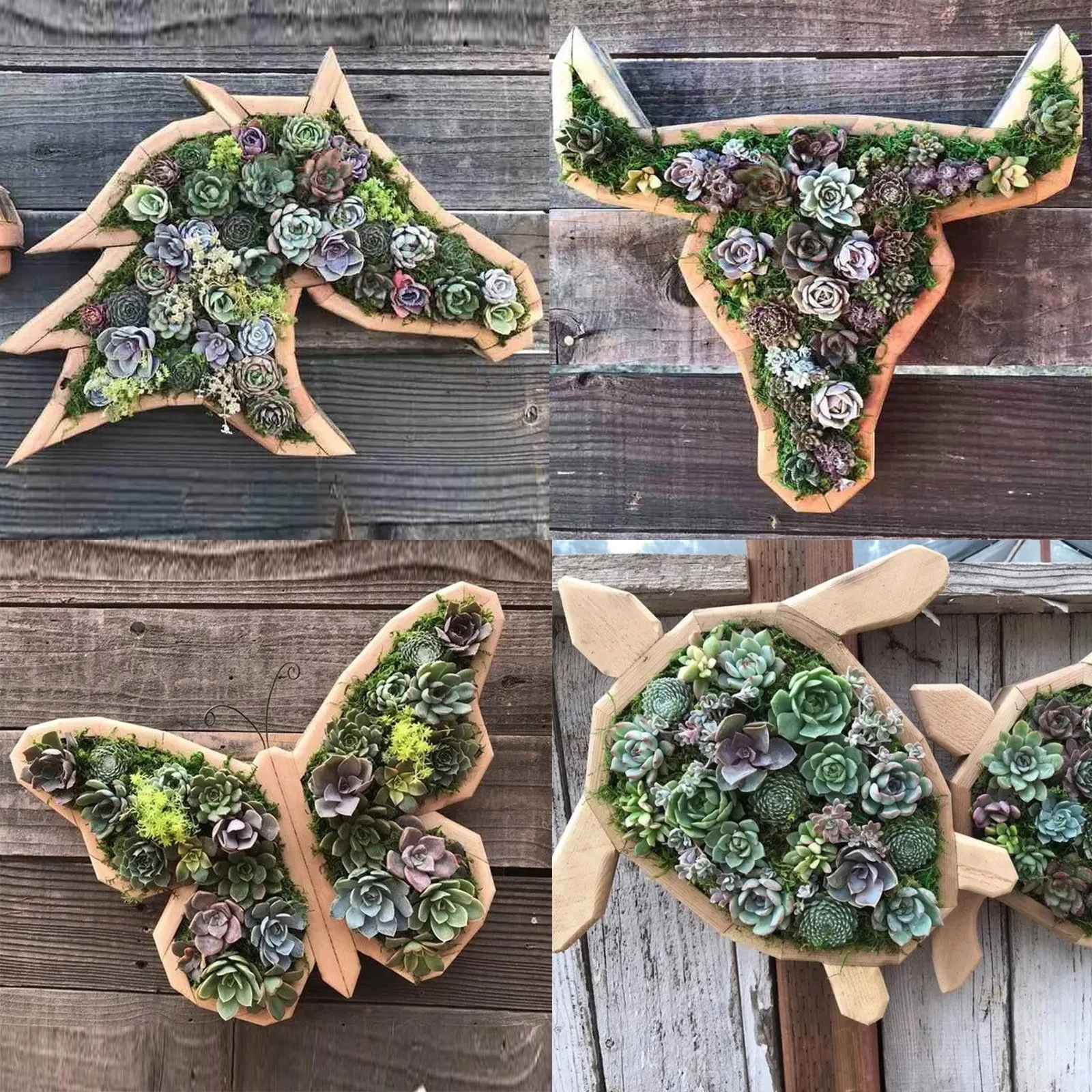 Succulents Planter- Wooden- Turtle, Bull Head- Horse Head- Butterfly- Garden Accessories - Image 5