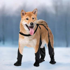 Outdoor Walking Dog Boot Leggings- Small, Medium, Large Dogs- Waterproof Snowy Dog Paw Protection