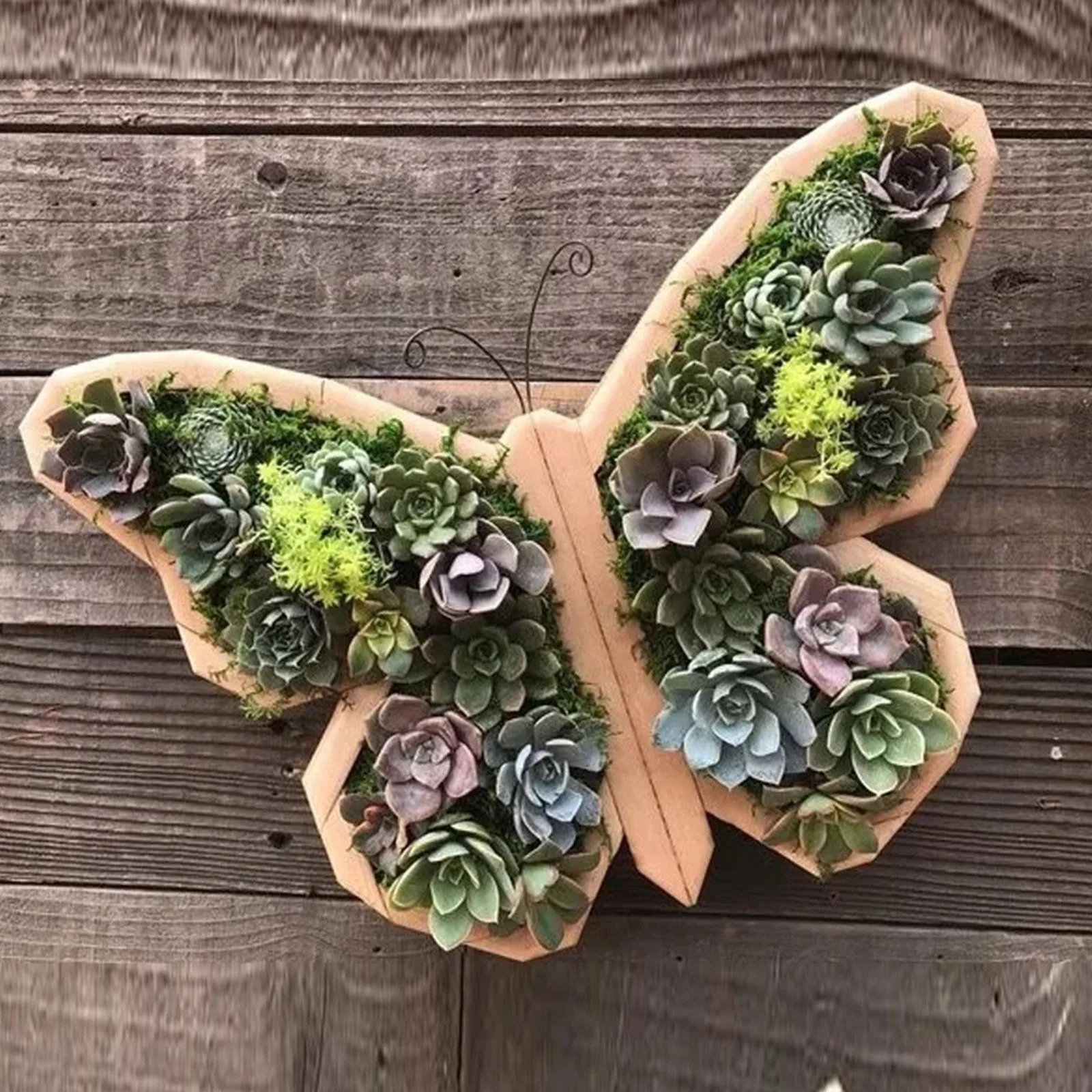Succulents Planter- Wooden- Turtle, Bull Head- Horse Head- Butterfly- Garden Accessories