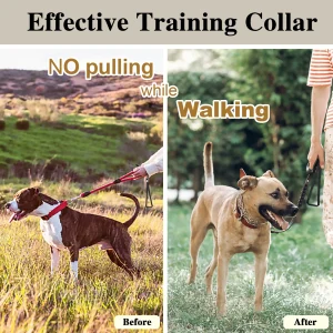 Adjustable No-Pull Training Collar for Dogs
