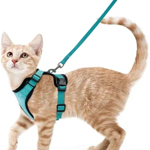 Adjustable Escape Proof Cat Leash