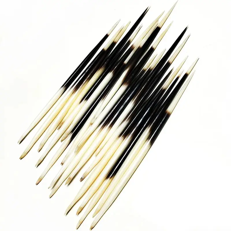 1 LOT African Porcupine Quills- Crafts Accessories- Natural Bone - Image 7