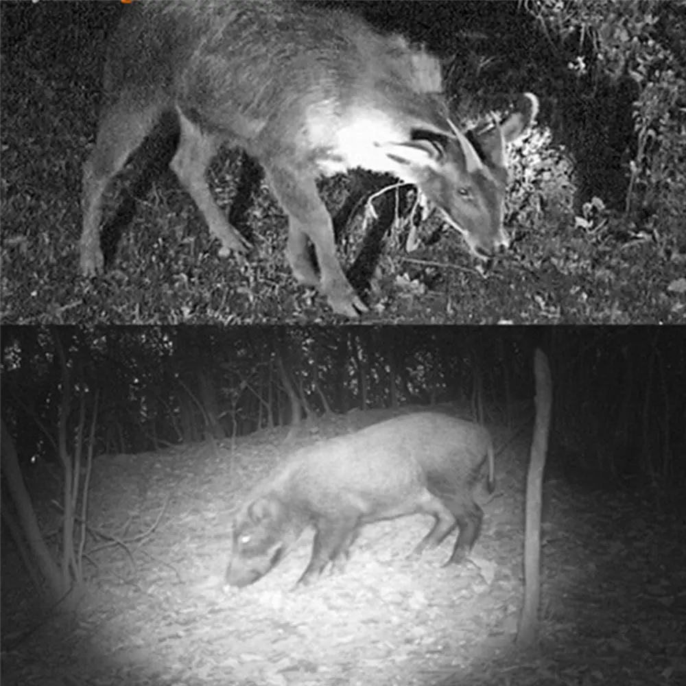 Infrared Flashlight- Adjustable Focus- Zoomable IR Hunting Torch- Infrared Radiation Weapon- Light Night Vision Devices - Image 5