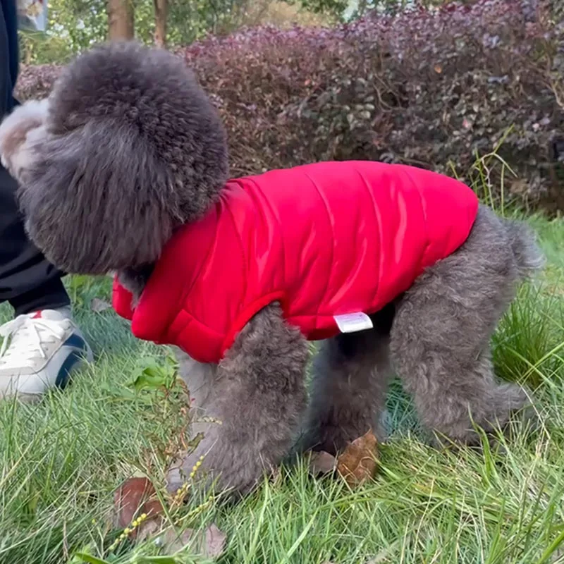 Winter Warm Vest for Small Dogs/Cats- Other Sizes Available - Image 5