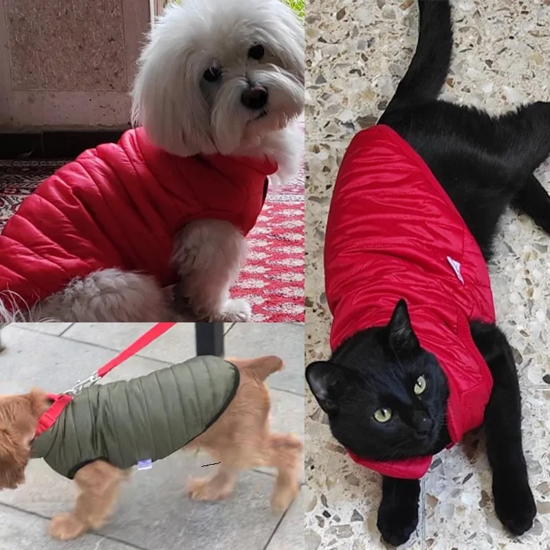 Winter Warm Vest for Small Dogs/Cats- Other Sizes Available - Image 3