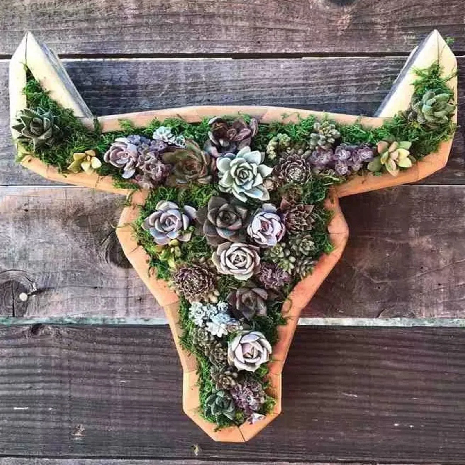 Succulents Planter- Wooden- Turtle, Bull Head- Horse Head- Butterfly- Garden Accessories - Image 2
