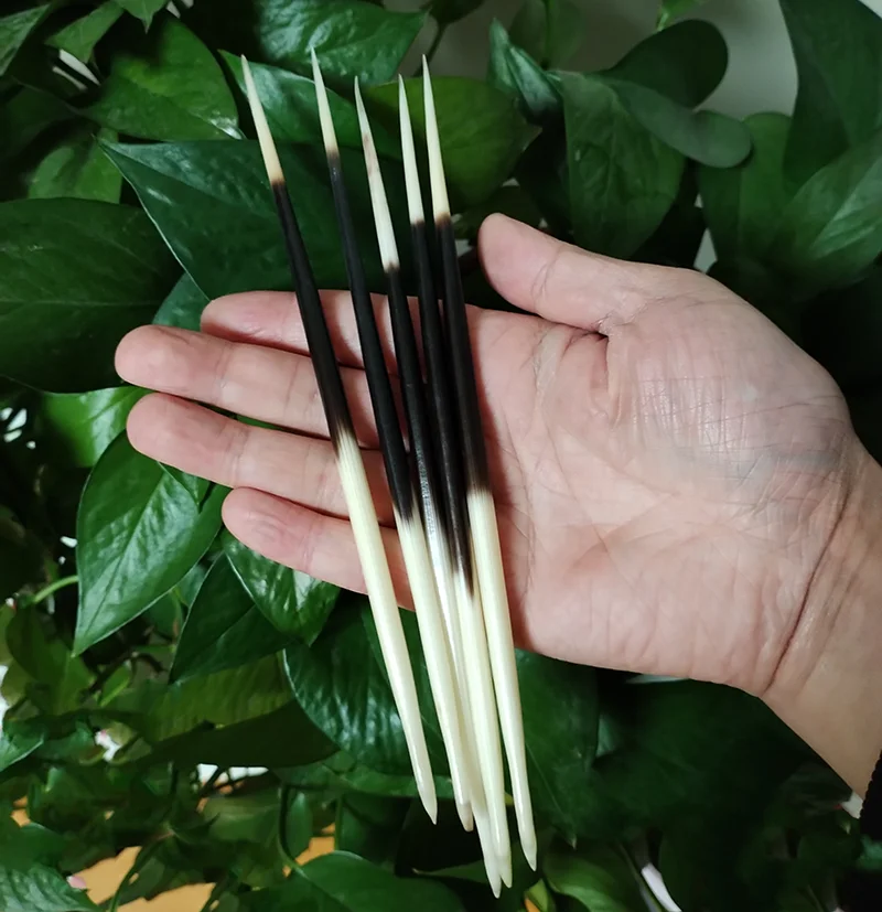 1 LOT African Porcupine Quills- Crafts Accessories- Natural Bone - Image 4