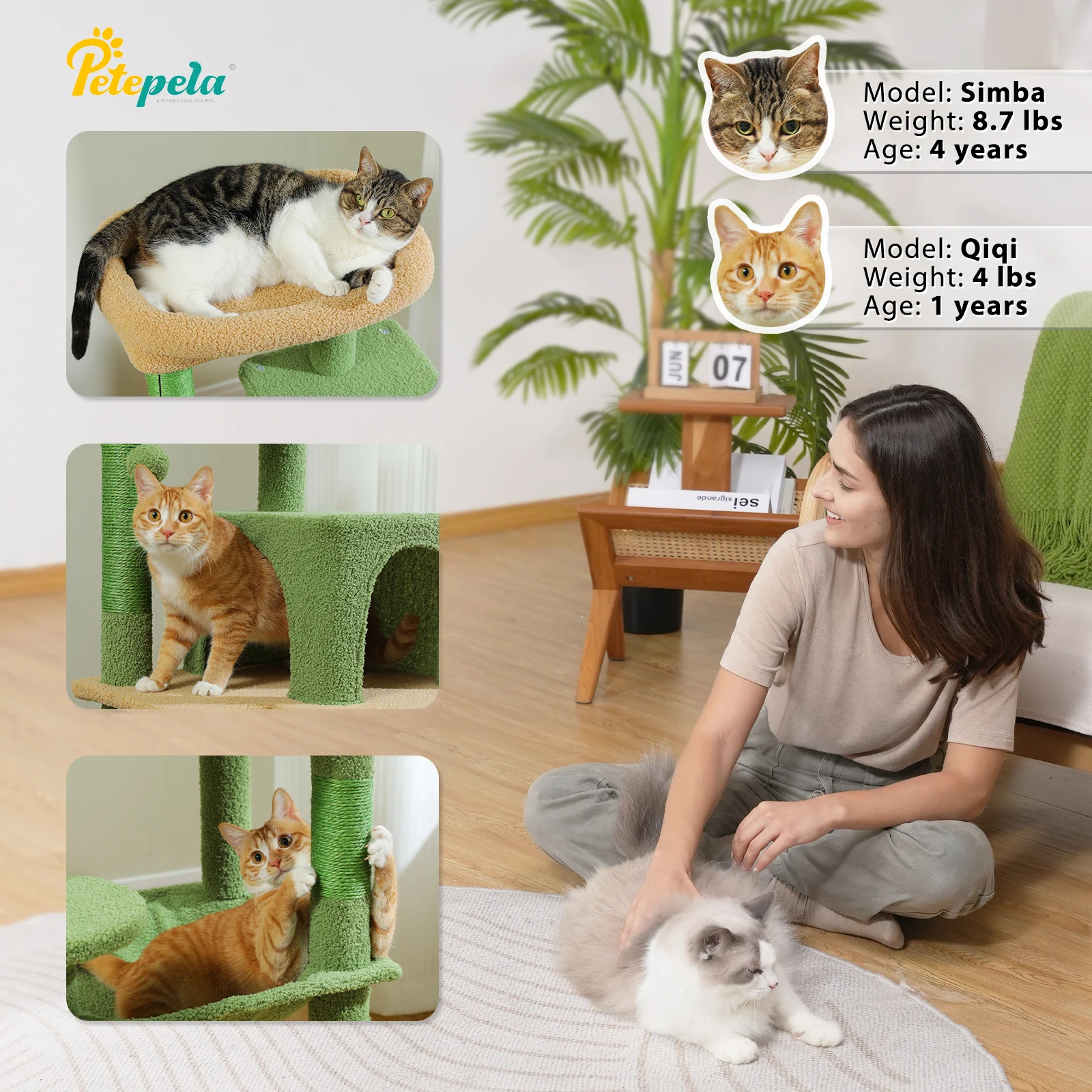 Cat Tree for Indoor Cats- 5-Level Cat Tower for Large Cats- Metal Frame- Large Hammock- Cat Condo with Big Top Perch - Image 5