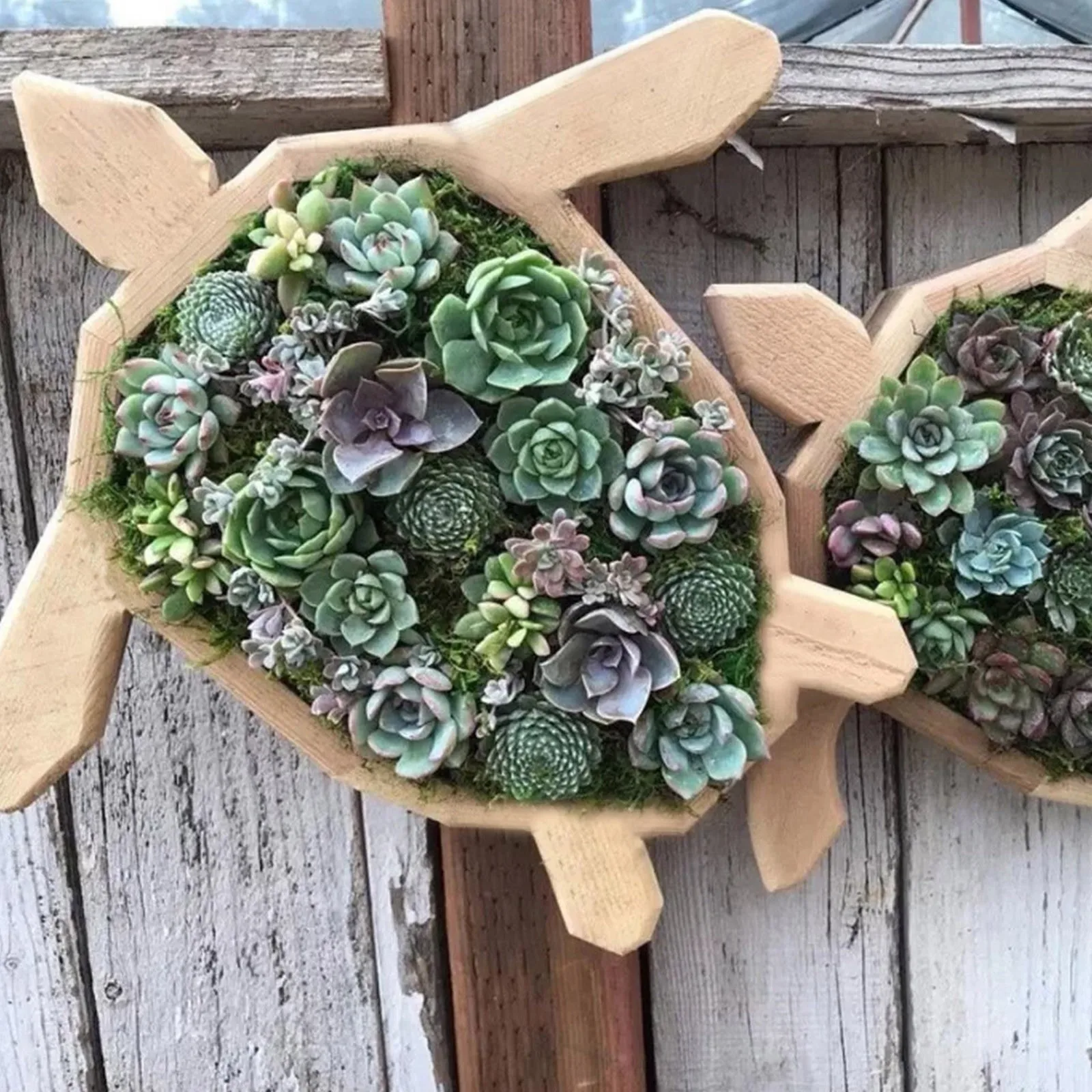 Succulents Planter- Wooden- Turtle, Bull Head- Horse Head- Butterfly- Garden Accessories - Image 8