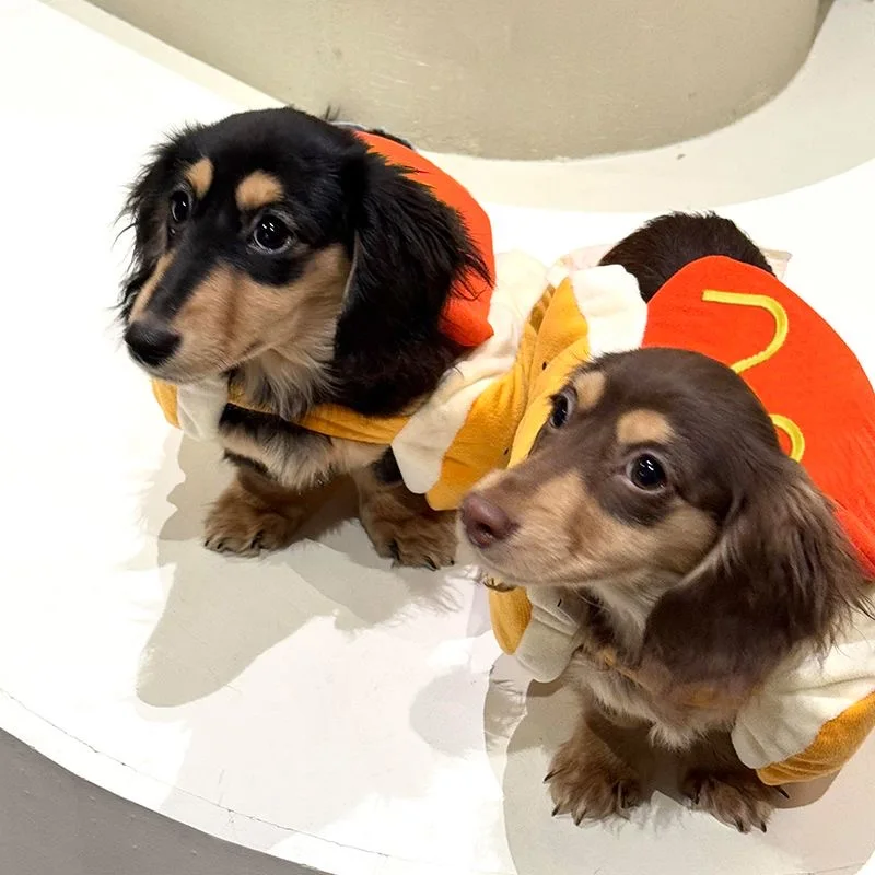 Hot Dog-Shaped Adjustable Pet Clothes - Image 5