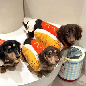 Hot Dog-Shaped Adjustable Pet Clothes