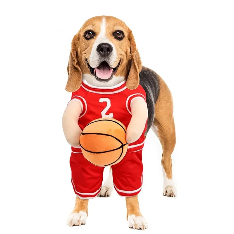 Dog Basketball Costume with Ball- Halloween- Just Because It's Funny - Image 6