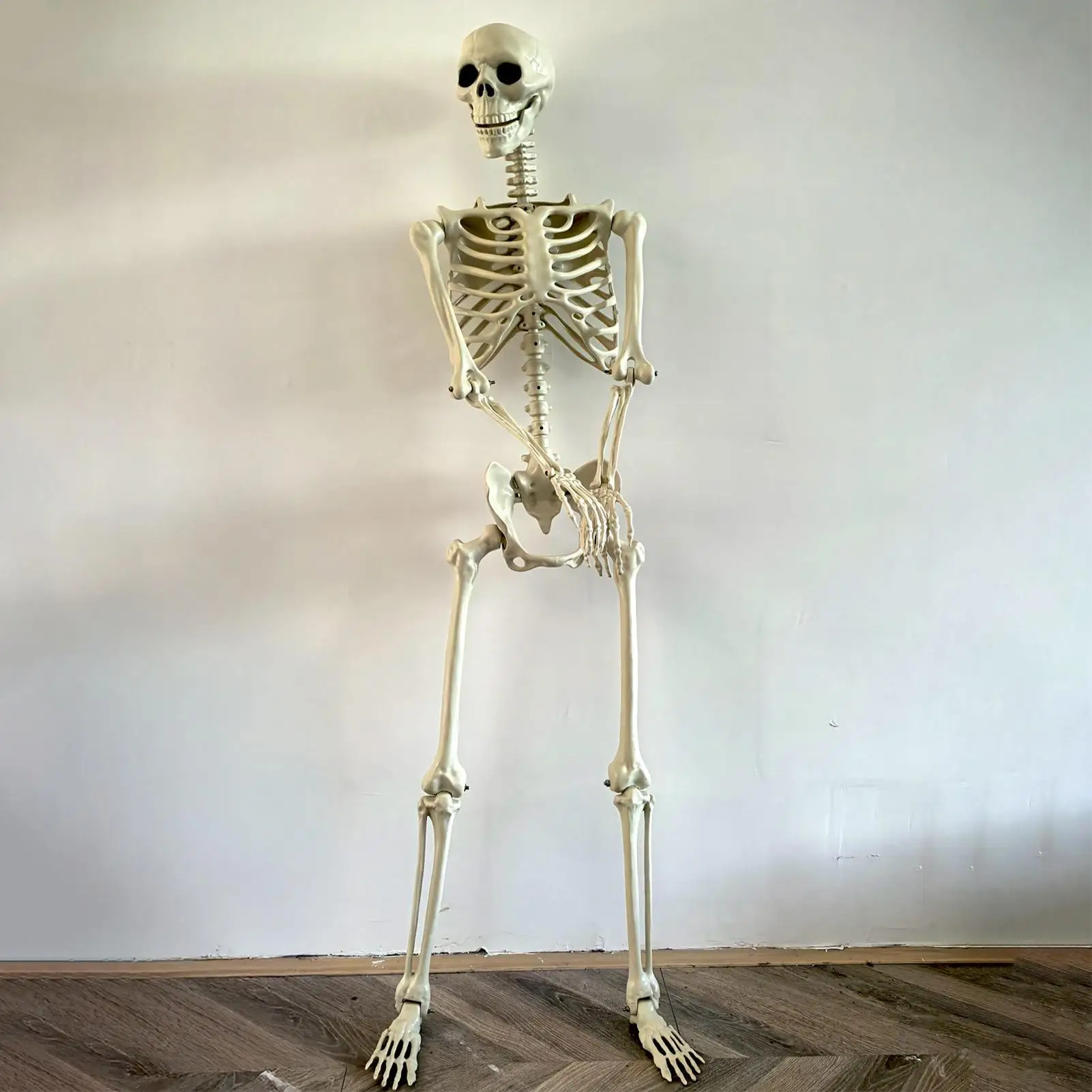 Realistic Body Bones- Life-Size Human Skeleton- Posable Joints