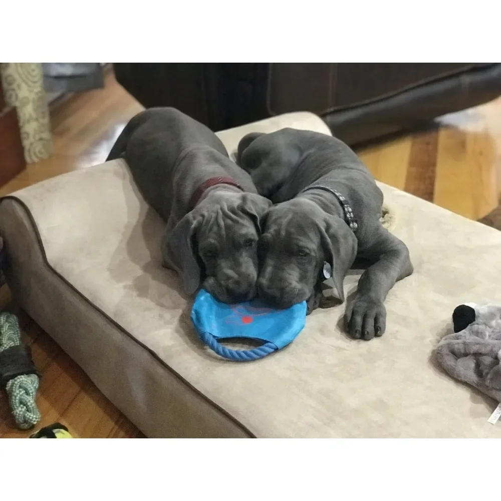 Orthopedic Dog Bed - Memory Foam Dog Bed for Arthritic & Elderly Dogs - Machine Washable Dog Bed with Waterproof Liner - Large - Image 6