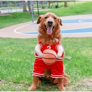 Dog Basketball Costume with Ball- Halloween- Just Because It's Funny