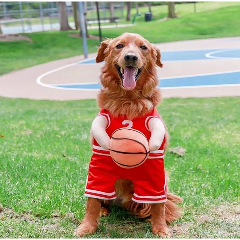 Dog Basketball Costume with Ball- Halloween- Just Because It's Funny