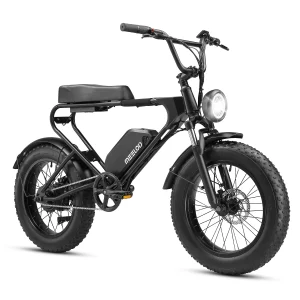 Adult E-bike- 1200W 48V 13Ah Battery- Electric Bike- 20-inch Fat Tires- Mountain Ebike