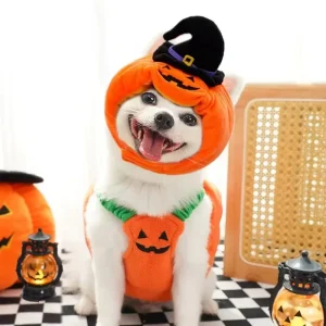 Pumpkin/Jack-O-Lantern Dog Costume- X-small to Large Sizes