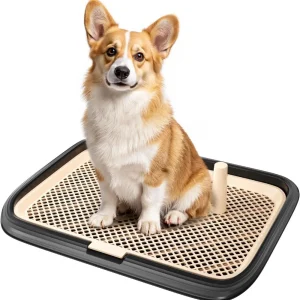Dog Potty Tray- 23.6"x17.7"- Indoor Pet Pee Pad Holder- Puppy Training