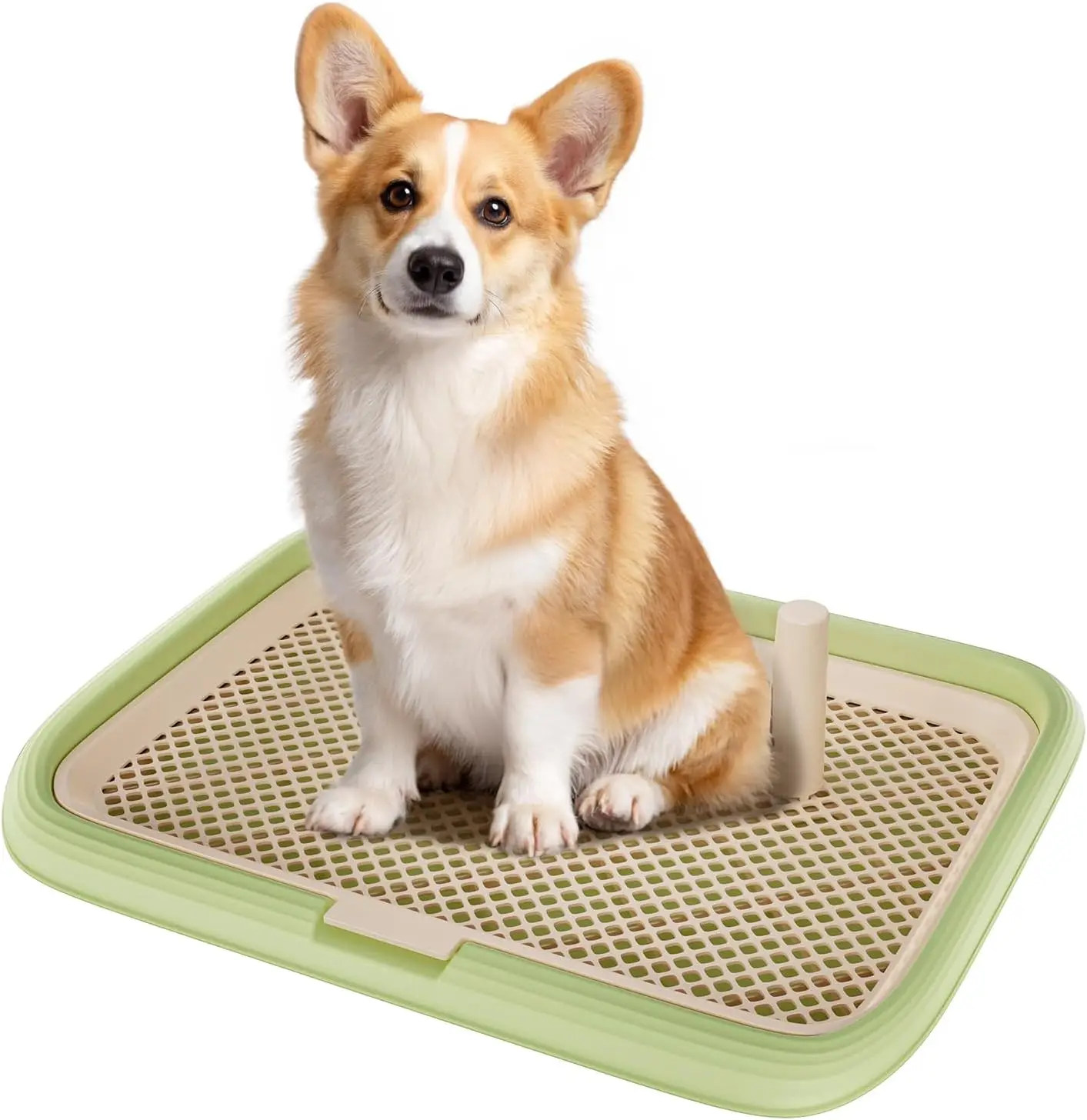 Dog Potty Tray- 23.6"x17.7"- Indoor Pet Pee Pad Holder- Puppy Training - Image 7