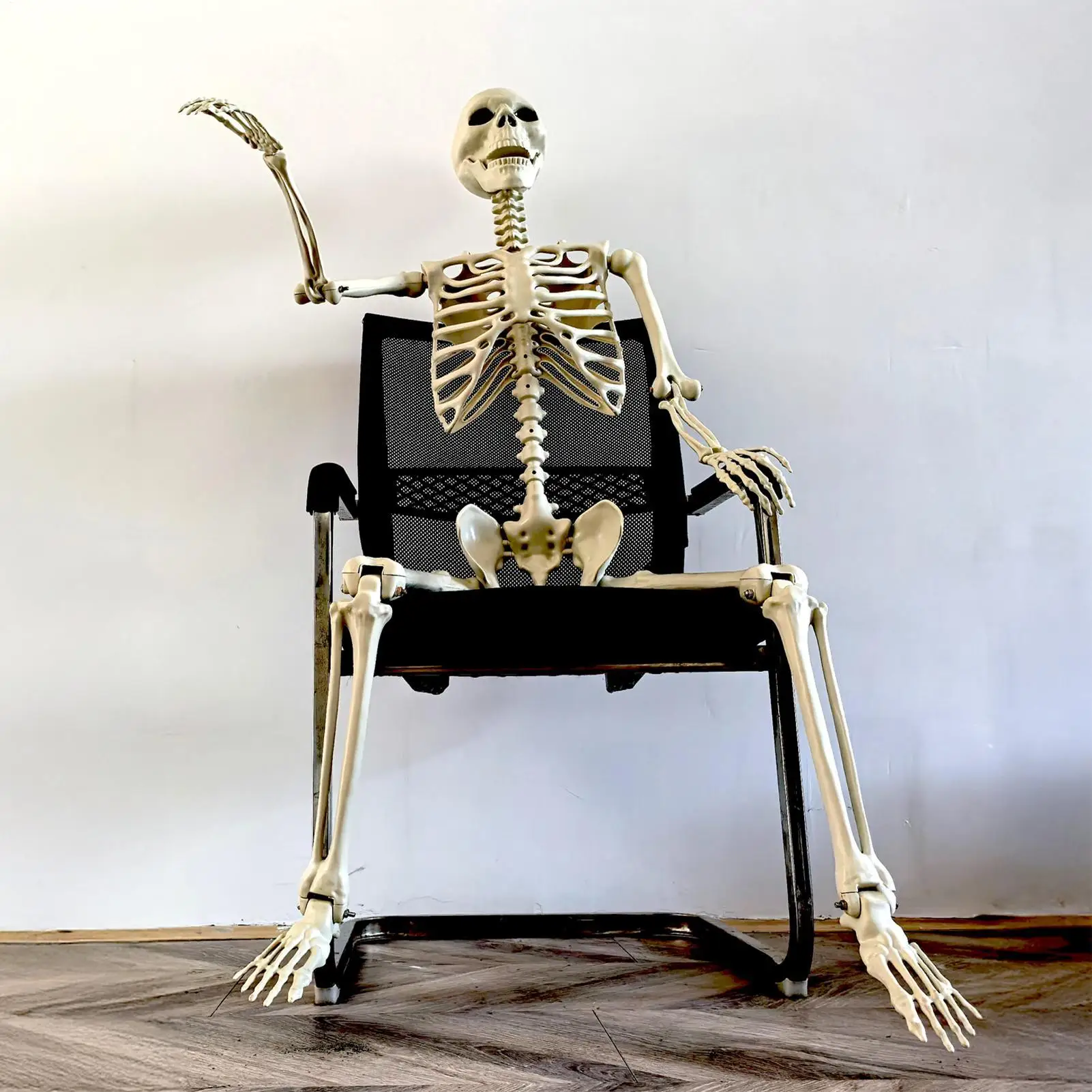 Realistic Body Bones- Life-Size Human Skeleton- Posable Joints - Image 3