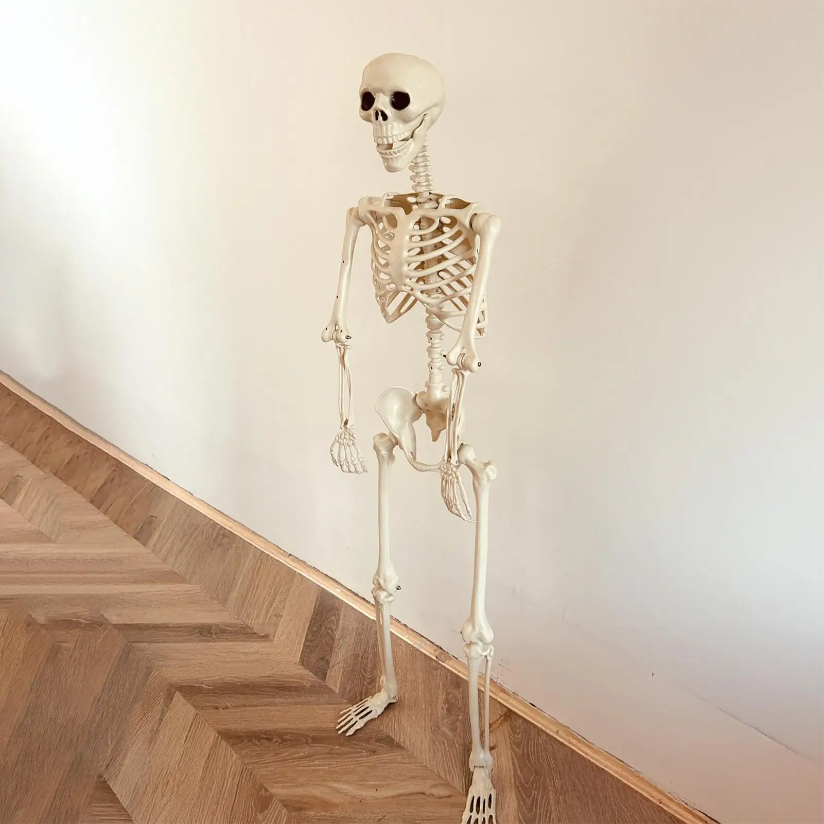 Realistic Body Bones- Life-Size Human Skeleton- Posable Joints - Image 5